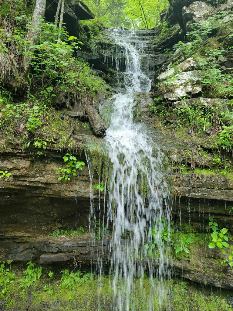 Twin Falls at Devil's Den State Park