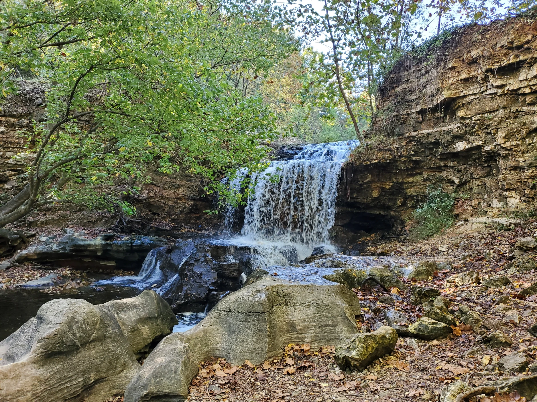 Waterfall Tanyard Creek