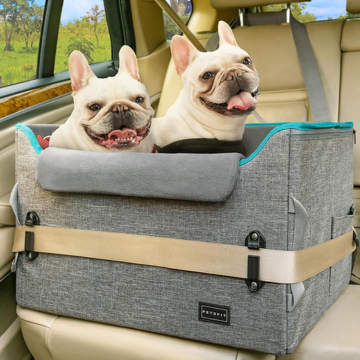 Doggie Carseat