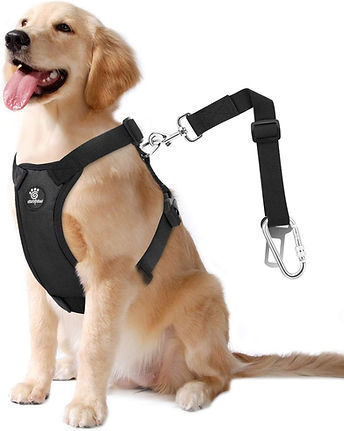 Pet Safety Harness