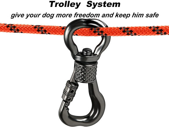 Pet trolley system