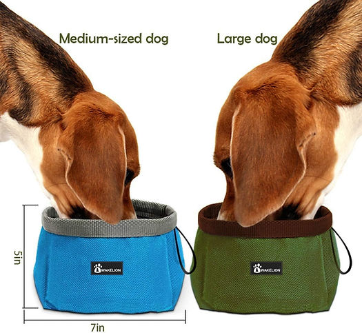 Portable Dog Food Storage and Bowls