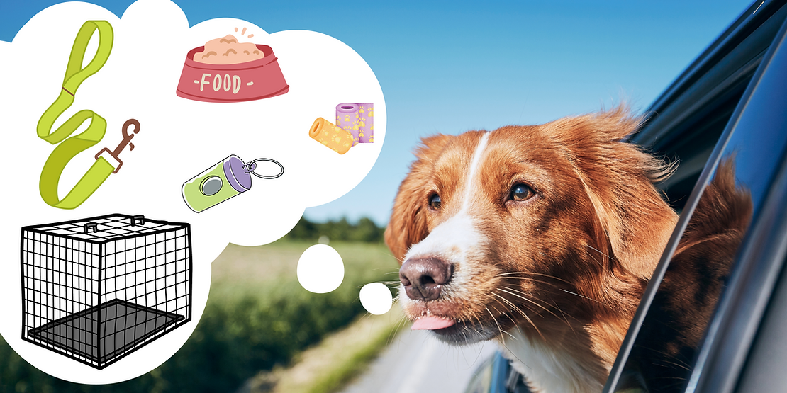 10 Pet Travel Essentials to Make Life Easier