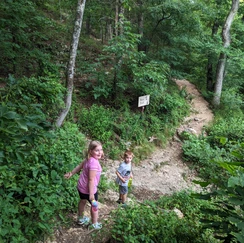 Trail  at Natural Falls State Park