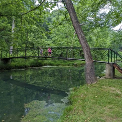 Bridge  at Natural Falls State Park