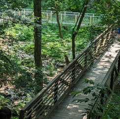 Walkway  at Natural Falls State Park