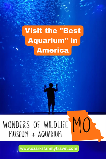 pin of wonders of wildlife aquarium