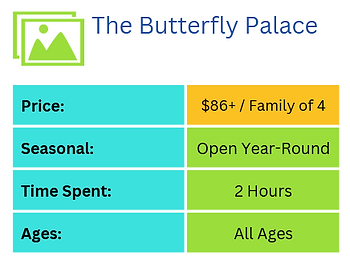 the butterfly palace snapshot