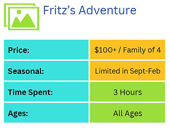 fritz's adventure snapshot