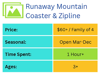 mountain coaster snapshot