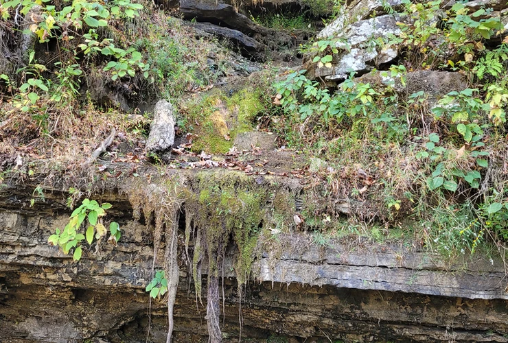 trail at devils den state park 