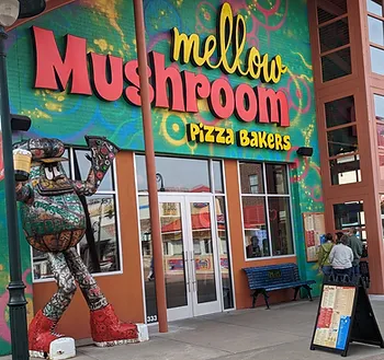 mellow mushroom branson