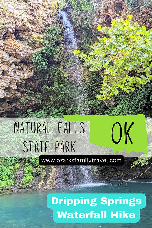 Natural falls state park pin