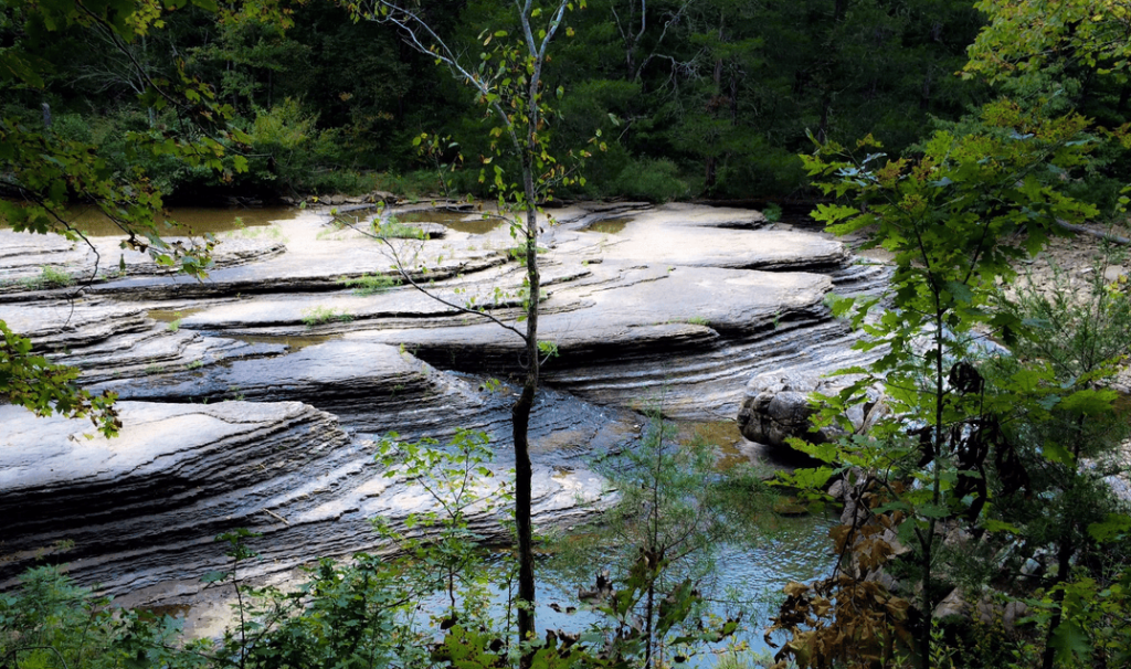 East Fork Wilderness Ozarks National Forest