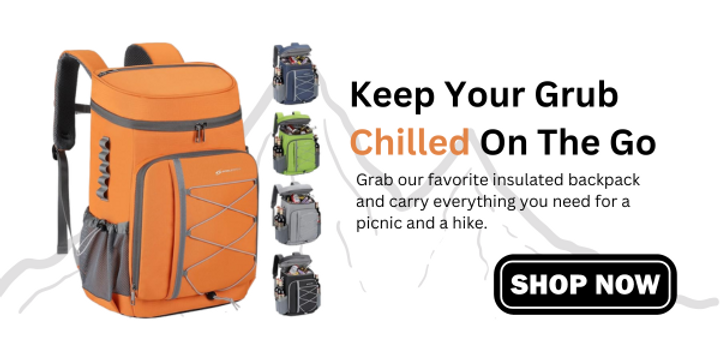 shop picnic backpacks