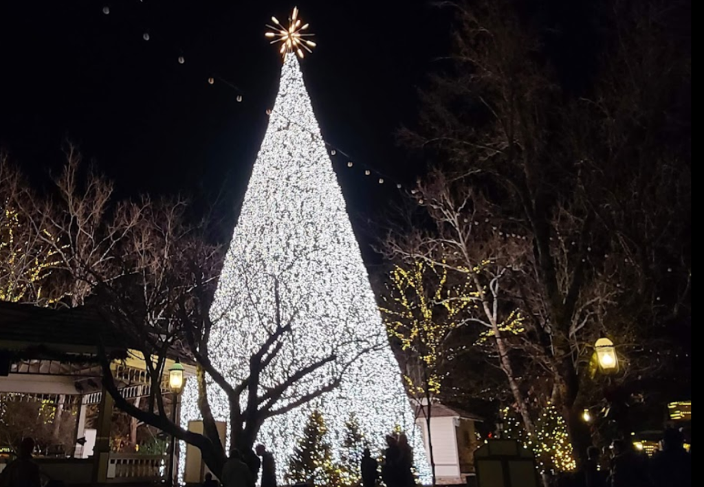 Christmas tree made of lights