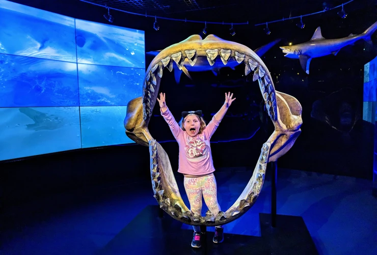 girl posing inside shark jaws