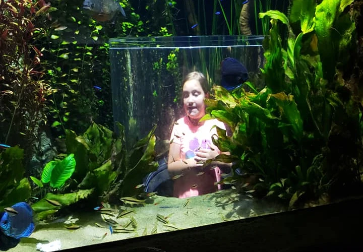 girl inside aquarium at wow museum