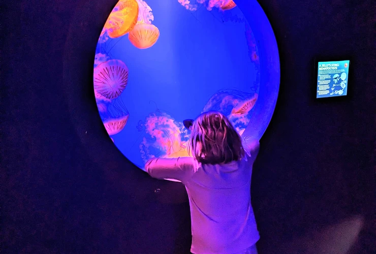 girl looking into wonders of wildlife aquarium