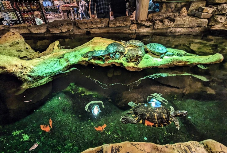 The Grandaddy Bass Pro Shops–An Unforgettable, Immersive Experience