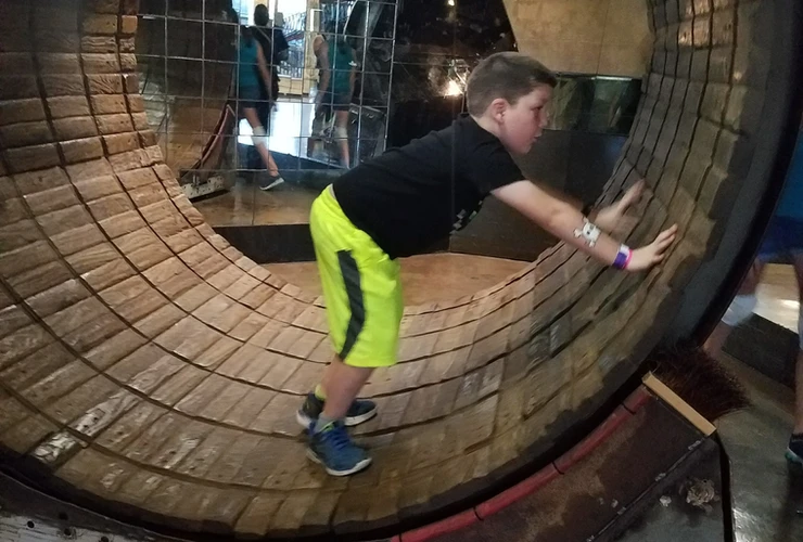 hamster wheel at the city museum