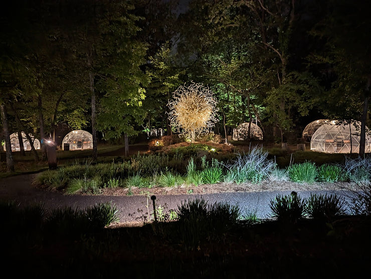 Crystal Bridges lighted forest