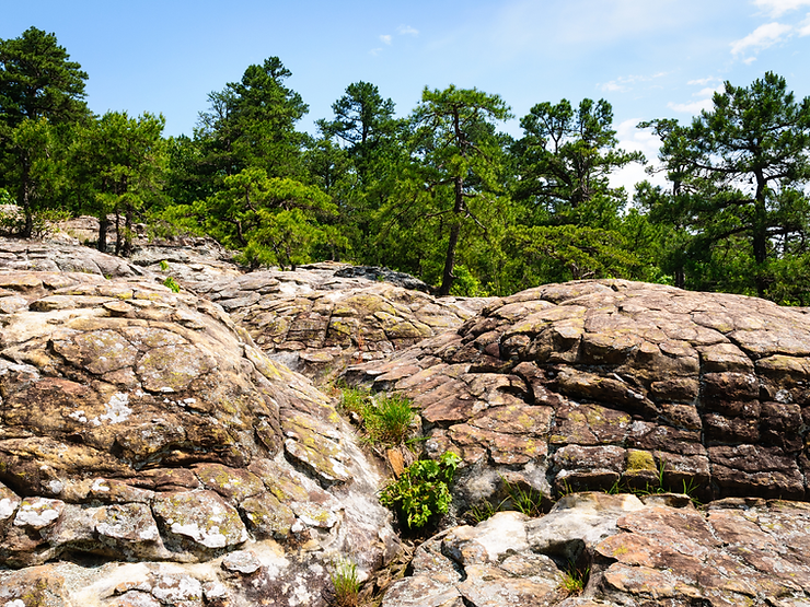 Explore Petit Jean State Park