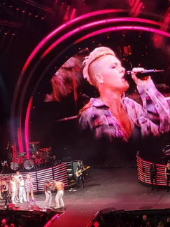 P!nk singing into microphone