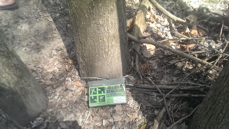 geocache by tree