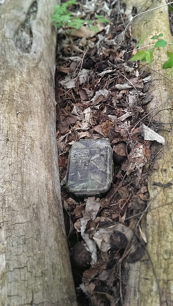 geocache in container