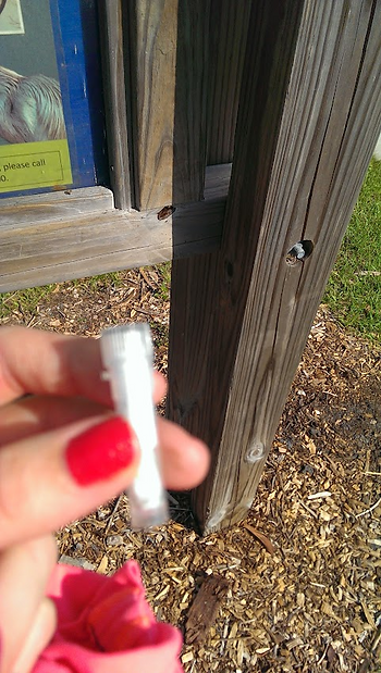 tiny geocache