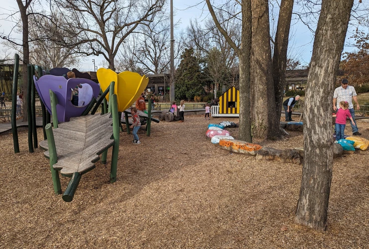 overview of playground 