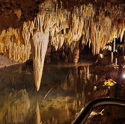 Illuminated yellow stalagmites