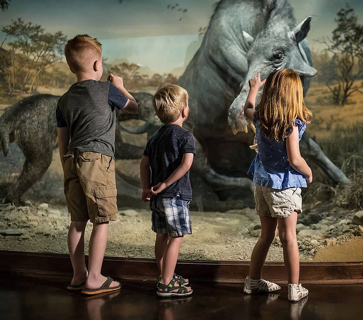 three kids in front of a wildlife exhibit