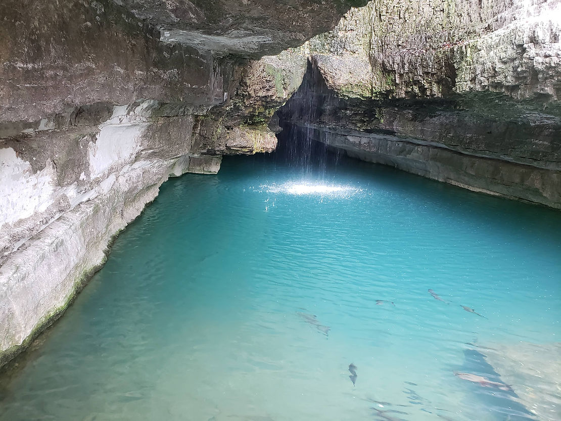 Experience Roaring River State Park