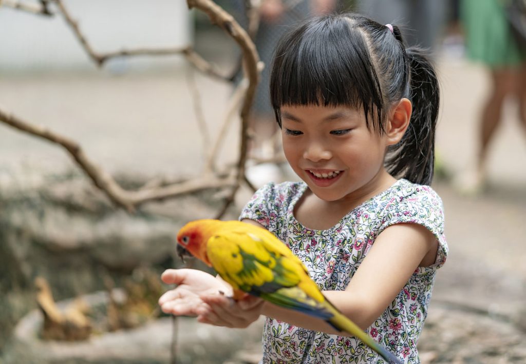 girl feeding parrot 