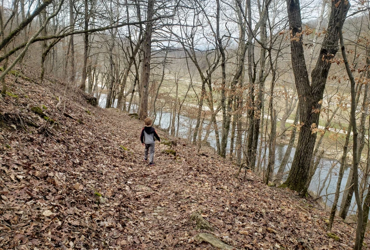 child walking on wooded trail