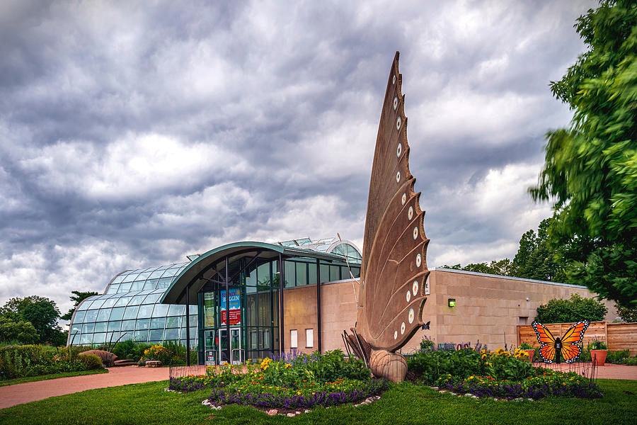 Experience the Butterfly House in STL