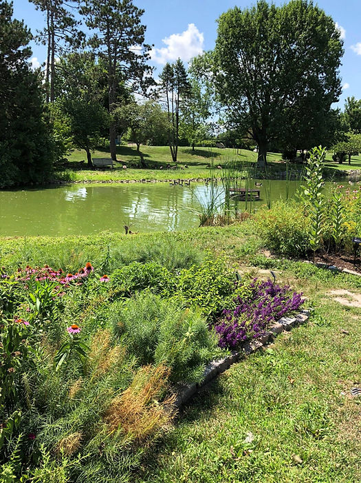 outdoor area butterfly house stl