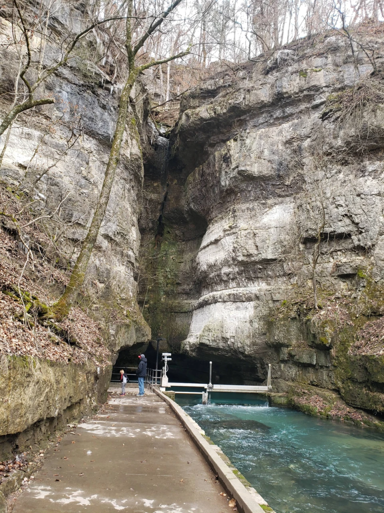 waterfall at roaring river