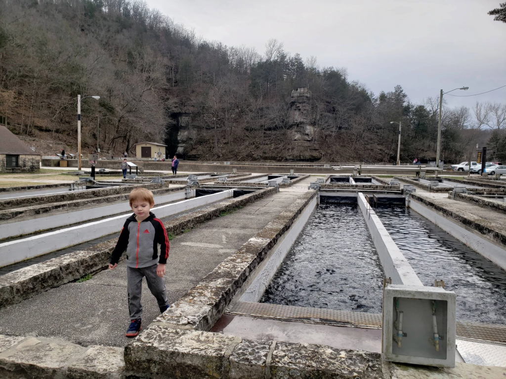 roaring river fish hatchery