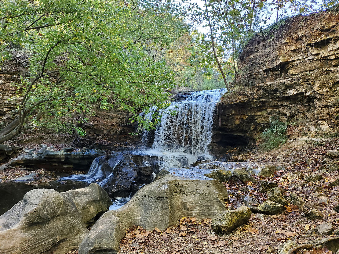 Experience Tanyard Creek Nature Trail