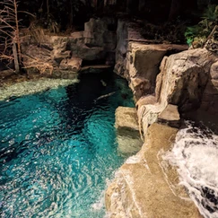 View inside wonders of wildlife museum waterfall